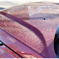 El auto vuelve de vacaciones… ¿y ahora qué?