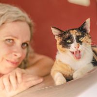 Los animales son guías en los procesos evolutivos de las personas. ¿Te atreves a seguir su orientación?