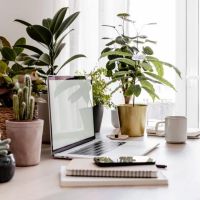 Oficinas cargadas: el factor invisible que afecta la productividad