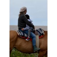 Terapias asistidas por caballos: el poder de un vínculo sanador