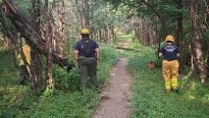 HALLARON CON VIDA A ESMERALDA