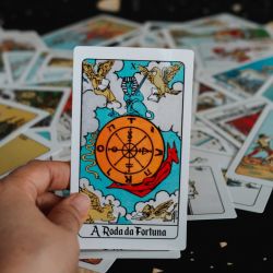 Luna Nueva en Piscis  Unsplash Ivett_m