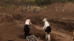 21-3-2026-Olga Carranza 