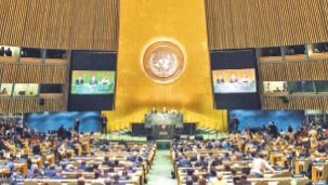 22_03_2026_onu_cedoc_g