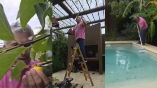 Mario Massaccesi mostró su jardín