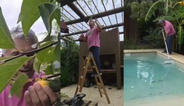 Mario Massaccesi mostró su jardín