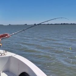 El arranque de temporada en Cochicó es interesante. Este espejo se consolida como una opción ideal tanto para pescadores experimentados como para quienes buscan iniciarse en la pesca del flecha de plata. 