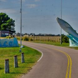 El arranque de temporada en Cochicó es interesante. Este espejo se consolida como una opción ideal tanto para pescadores experimentados como para quienes buscan iniciarse en la pesca del flecha de plata. 