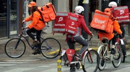 El empleo informal supera el 43%.