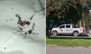 Clausuran Hogar de ancianos en Chubut 23032026