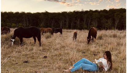Hongos medicinales: El nuevo puente entre la medicina ancestral y la salud integrativa