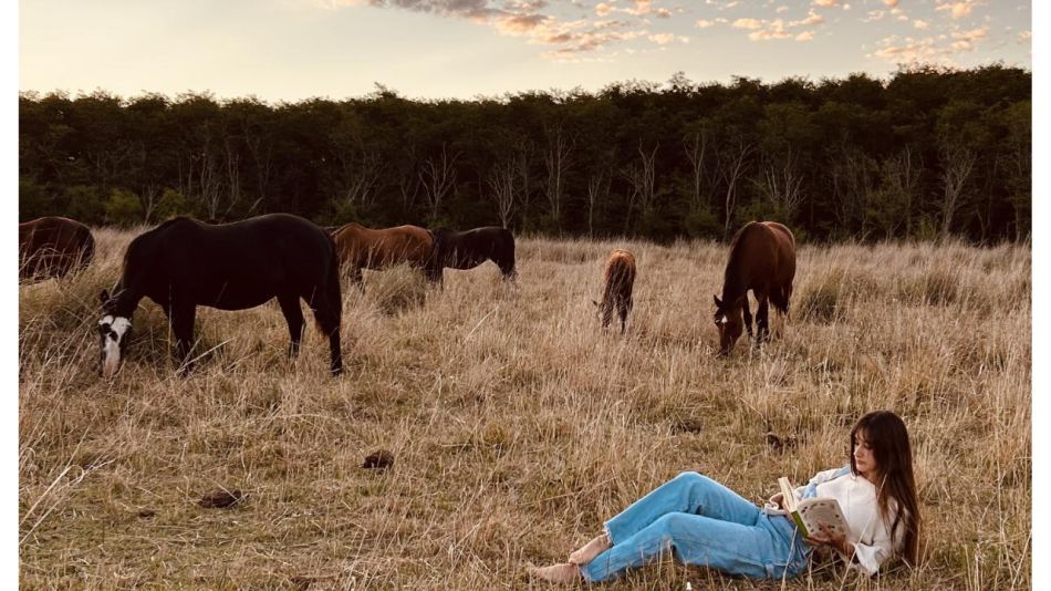 Hongos medicinales: El nuevo puente entre la medicina ancestral y la salud integrativa