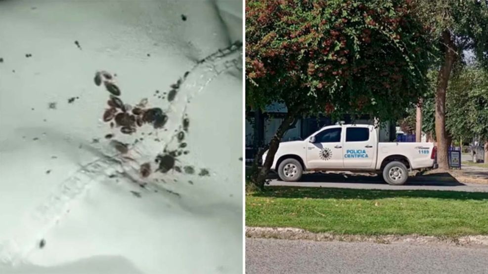 Clausuran Hogar de ancianos en Chubut 23032026