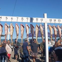 Corvinas grandes, kayaks en el agua y un clima ideal: el combo perfecto para otro fin de semana inolvidable en el mar.