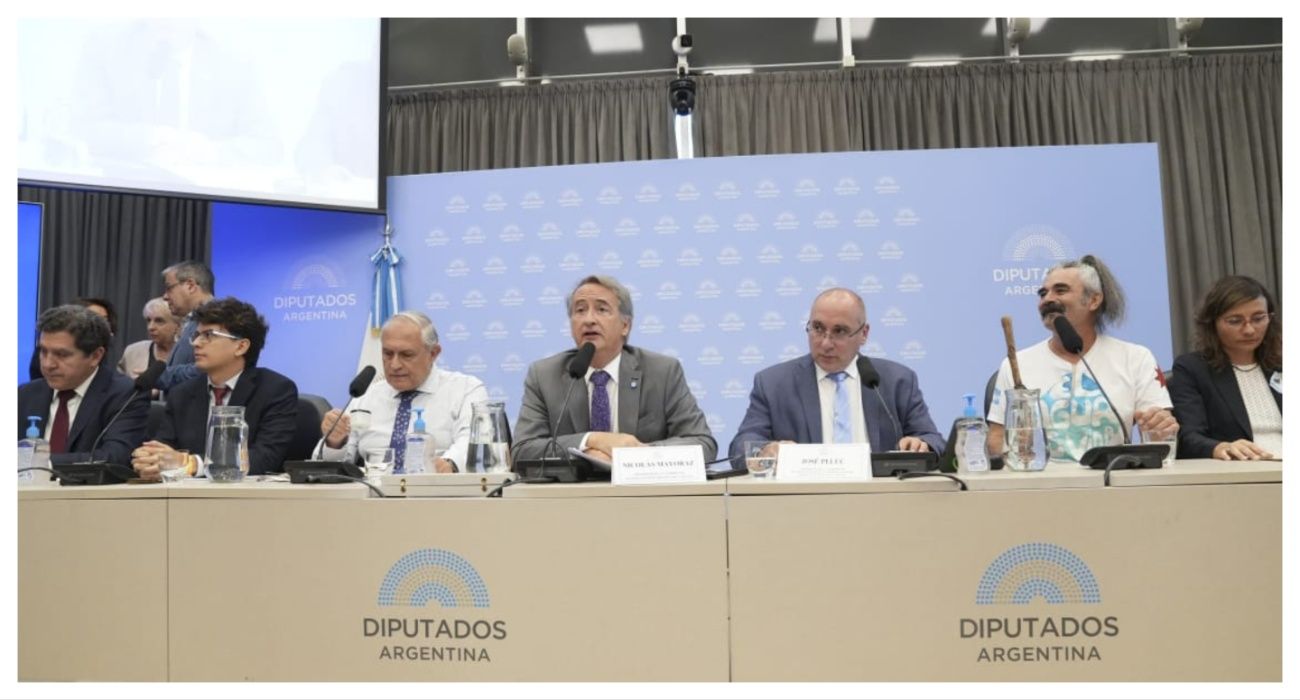 audiencia-glaciares-25032026-2209166