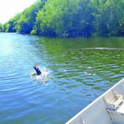 El Queguay Grande, en Paysandú, Uruguay, combina paisaje de área protegida con pesca deportiva de alto voltaje.