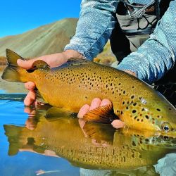 Pesca de truchas en Copahue.