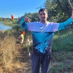 El mes cierra con buenos rendimientos y mejores perspectivas para lo que se avecina.