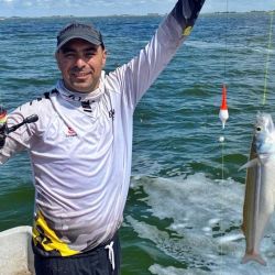 El mes cierra con buenos rendimientos y mejores perspectivas para lo que se avecina.