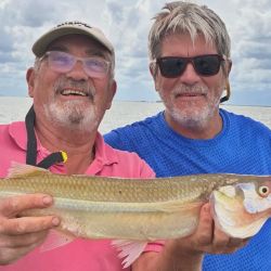 El mes cierra con buenos rendimientos y mejores perspectivas para lo que se avecina.