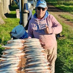 El mes cierra con buenos rendimientos y mejores perspectivas para lo que se avecina.