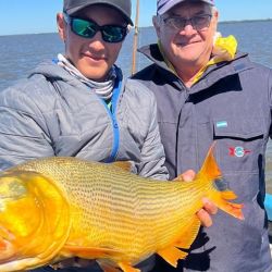 El mes cierra con buenos rendimientos y mejores perspectivas para lo que se avecina.