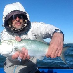 El mes cierra con buenos rendimientos y mejores perspectivas para lo que se avecina.