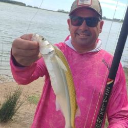 El mes cierra con buenos rendimientos y mejores perspectivas para lo que se avecina.