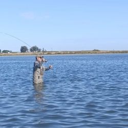 El mes cierra con buenos rendimientos y mejores perspectivas para lo que se avecina.