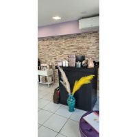 “Cómo tener el cabello de una reina (sin depender de la suerte)”