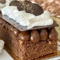 Postres individuales de Dulce Ari: el arte de conquistar en un solo bocado