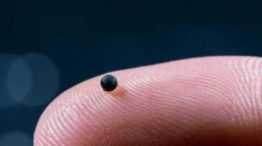 Microrrobot, lo hizo el laboratorio suizo ETH Zurich 20260325