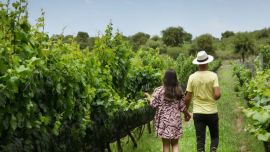 Dormir entre viñedos: la apuesta de Posada & Bodega La Matilde para visitar Traslasierra en temporada baja