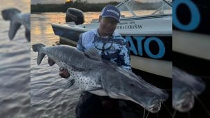 2503_pesca