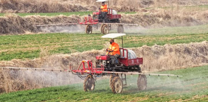 Agricultores aplican fertilizantes y realizan control de plagas y enfermedades en los cultivos de trigo, en el poblado de Hushan, en la ciudad de Rongcheng, en la provincia de Shandong, en el este de China. Después del equinoccio de primavera, los agricultores de Shandong han aprovechado la temporada agrícola para llevar a cabo la labranza de primavera.