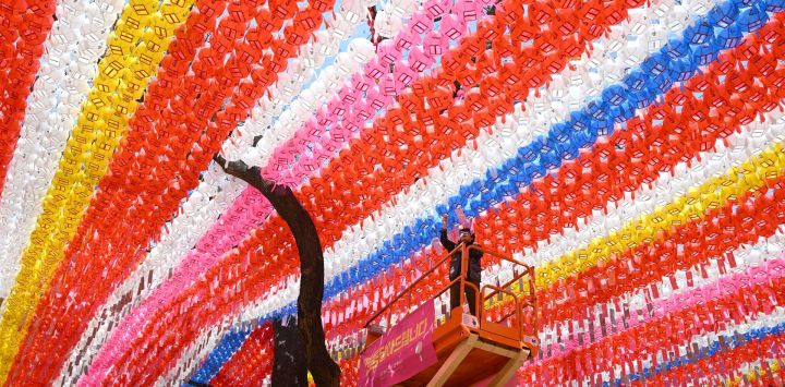 Un trabajador del templo coloca tarjetas con los deseos de los fieles budistas en las linternas de loto instaladas para las próximas celebraciones del cumpleaños de Buda en el templo Jogyesa de Seúl, Corea del Sur.