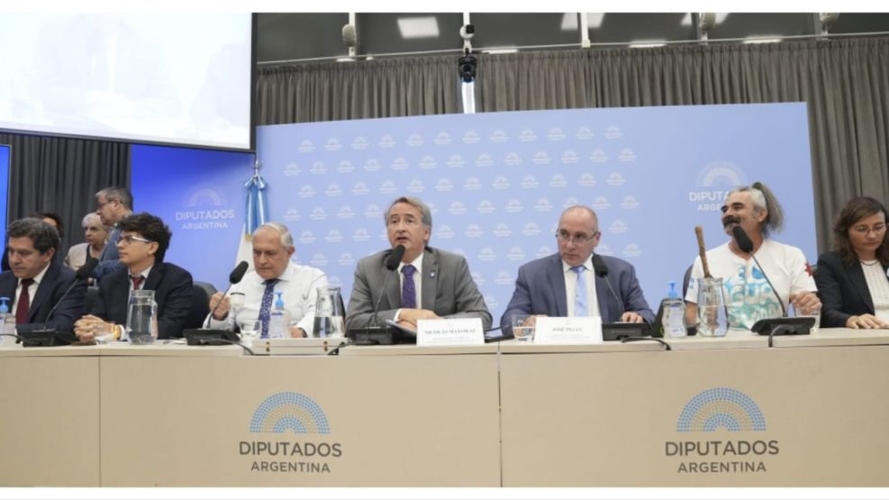audiencia glaciares 25032026