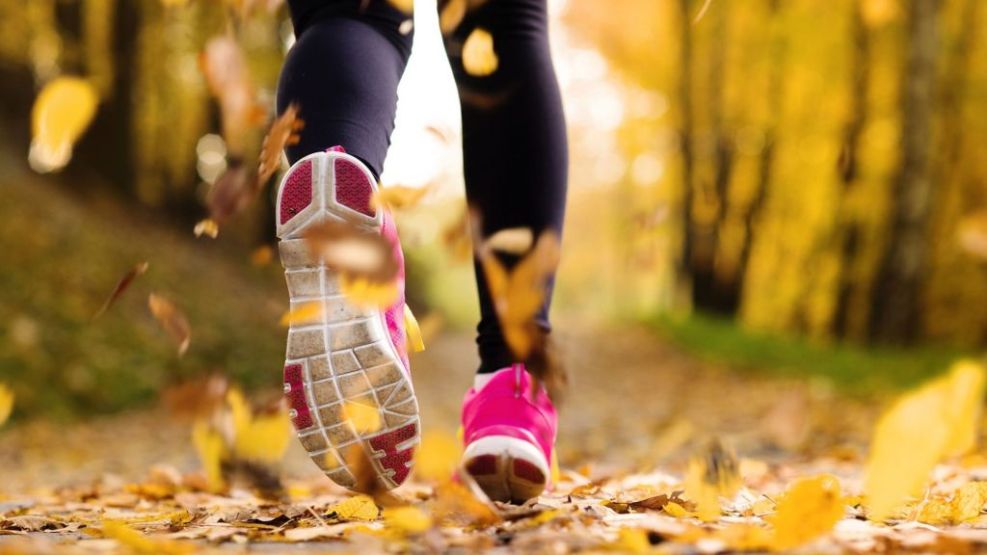 El otoño ¿una oportunidad para activar el cuerpo y la mente?