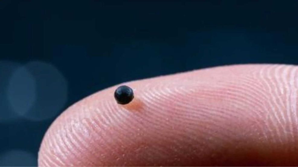 Microrrobot, lo hizo el laboratorio suizo ETH Zurich 20260325