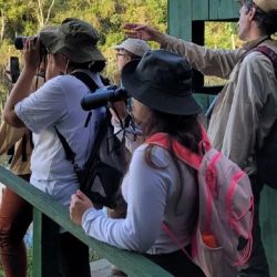 La carrera puede cursarse de manera on line.
