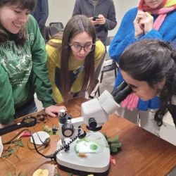 La carrera incluye asignaturas como Ecología, Zoología, Botánica Morfológica, Mastozoología, Geografía Física, Áreas Naturales Protegidas e Interpretación del Patrimonio