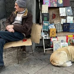 La clave de esta convivencia armoniosa radica en un programa integral de gestión animal que combina esterilización, vacunación y un profundo respeto por los animales