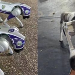 Turbo y Voltio están equipados con cámaras de alta resolución y sensores de movimiento.