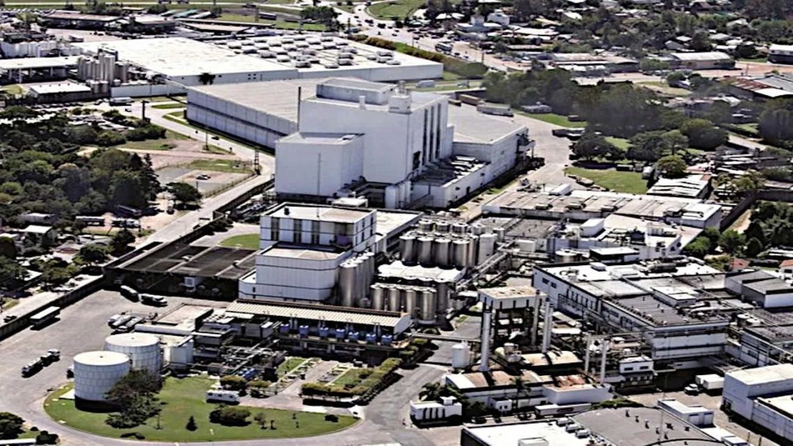 Arcor, Danone take control of La Serenísima, reshaping Argentina dairy market