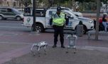 Así son los primeros perros robóticos con inteligencia artificial de América Latina