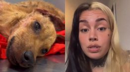 La perra rescatada y la rescatista durante su descargo. 