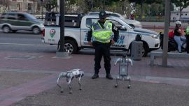 Los perros robots vigilan las calles de Chacao.