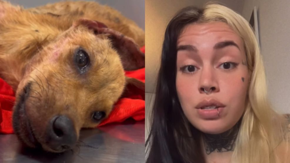 La perra rescatada y la rescatista durante su descargo. 