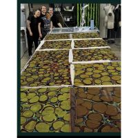 Frankenstein, cuando el vestuario narra lo invisible