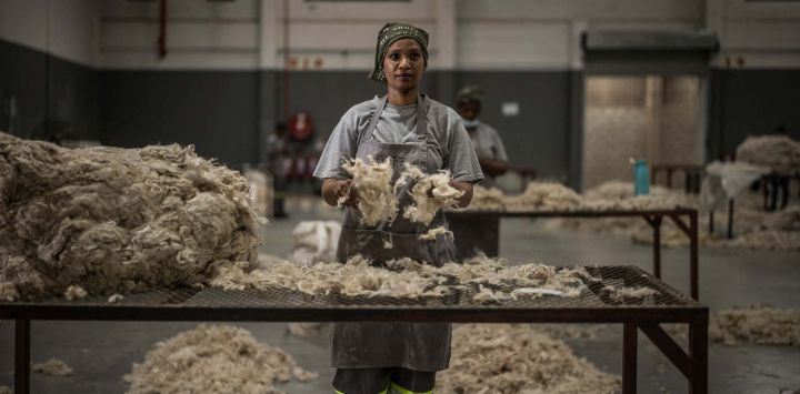 Un trabajador clasifica fardos de mohair en el almacén de House of Fibre en Gqeberha. Sudáfrica suministró el 56% de la producción mundial en 2024, según sus cifras. El sector genera aproximadamente 30.000 empleos, cientos de ellos en el Karoo, que se ha convertido en un hogar inesperado para esta raza originaria de Turquía.